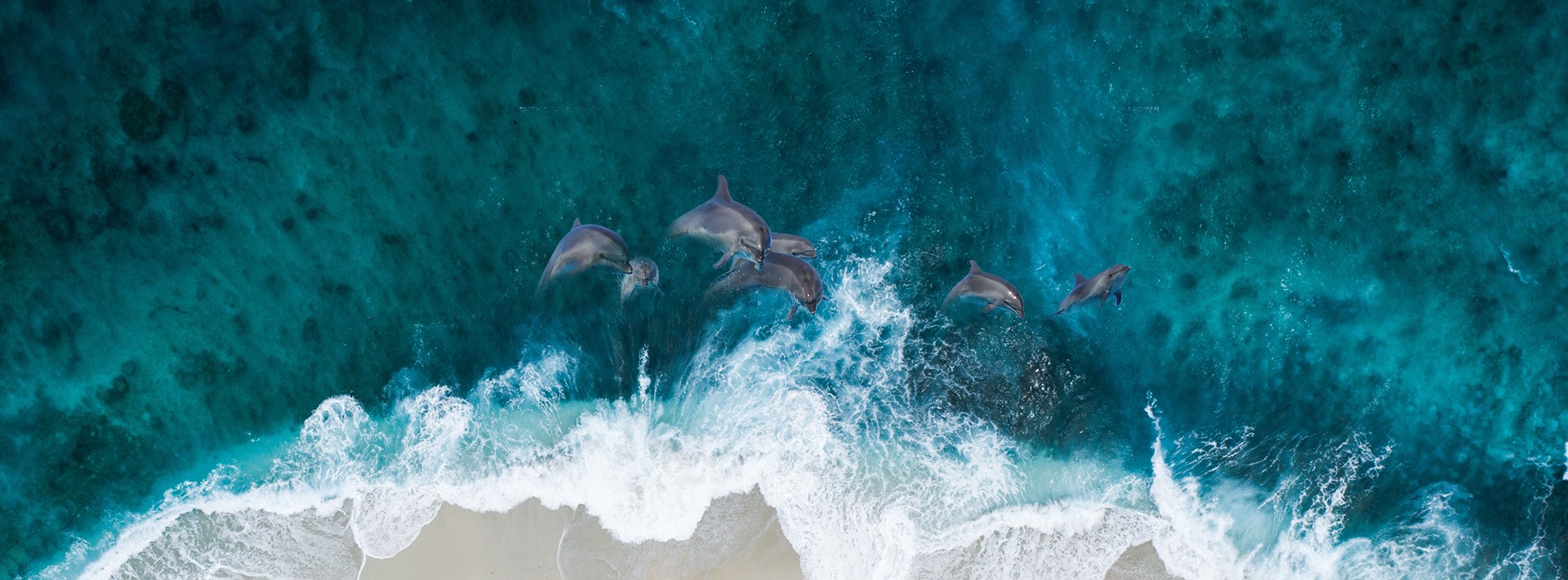 满堂彩·(中国区)官方网站